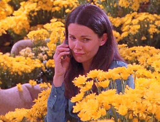 Lorelai overrun and overwhelmed with yellow daisies